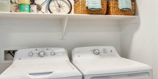 Arista at Ocotillo by Mark-Taylor Gallery 11