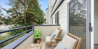 Ashford Apartments Gallery 12