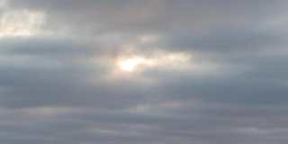 3403 Riviera Gallery 21