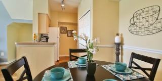 Springs at Palma Sola Gallery 6