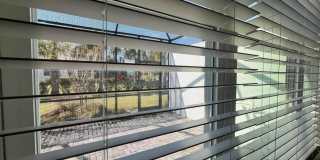 534 Margaritaville Avenue Gallery 17