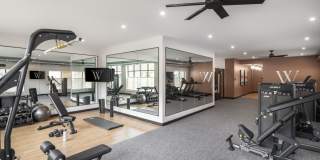 Wilford Gallery 44
