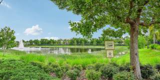 Springs at Gulf Coast Gallery 44