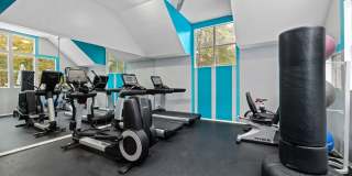 Hamilton Ridge Gallery 51