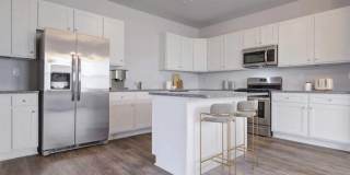 Poplin Trace Gallery 13