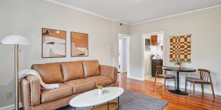 Cameron Court & Shelton Gallery 8