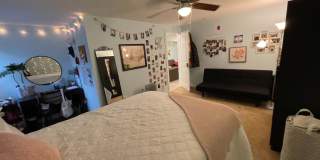 1609 Sydenham Gallery 92