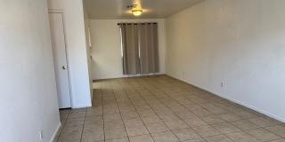 3185 Gallery 7