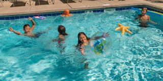 Rose Vista Gallery 16