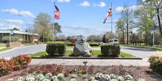 3210 N LEISURE WORLD Boulevard unit: 119 Gallery 66