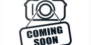 808 West Springfield Avenue - 1 Gallery 1