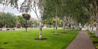Verso Gallery 13