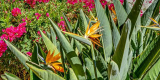 Legacy Hills at Poway - Senior Housing Gallery 33