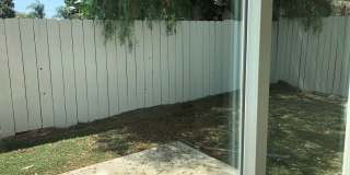 Holly Gallery 10