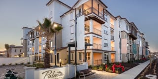 Senior Housing- Palmia, Age 55+ Luxury Apartments Gallery 45