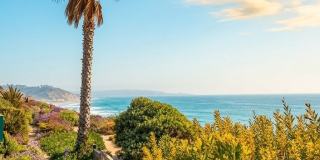Los Arboles Apartments Gallery 4