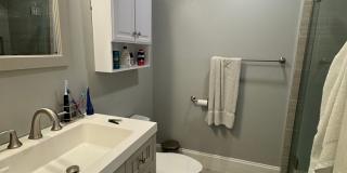 Great 4 bedroom w/ 2 full bathrooms - Northeastern Gallery 8