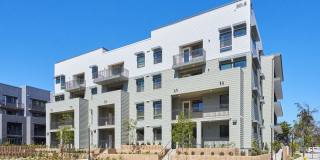 The Willows Gallery 17