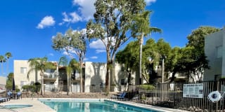 Maguire Hill Gallery 2