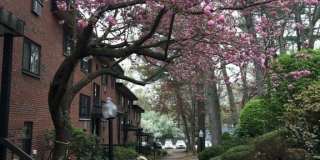1323 Worcester Road Gallery 1