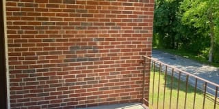 Elmwood Park Gallery 6