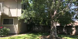4271 Pennfield | Unique 2k Sq. Ft. Home on Corner Lot, Skylights, Vaulted Ceilings, Giant Backyard! Gallery 24