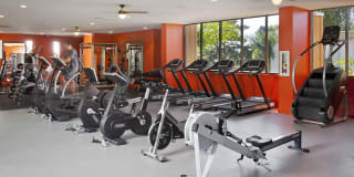 Bayside at Coronado Gallery 19