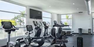 Maia Avira at Glendale Gallery 19