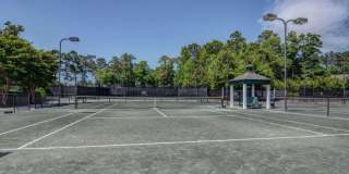 8825 Sawmill Creek Lane Gallery 30