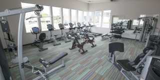 VerraWest Gallery 14