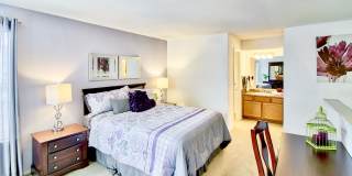 Royal Pointe Gallery 25