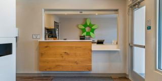 Detroit - Rochester Hills Gallery 16