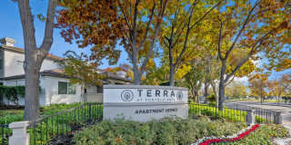 Terra at Portola Park Gallery 26