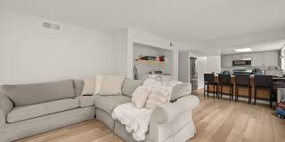 Spacious lot with no back house! Gallery 6