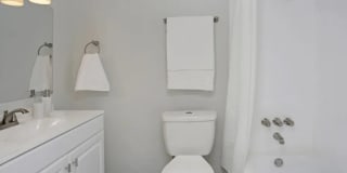 The Trails Gallery 7