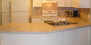 13009 BENT PINE Court E Gallery 8