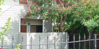 Cottonwood Gallery 8