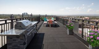 The Somerset Gallery 11