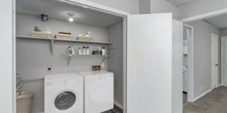 The Groves Gallery 10