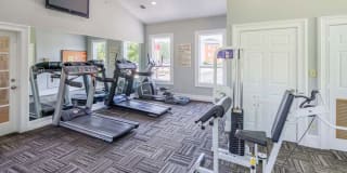 The Samuel Gallery 9