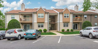 Sussex Downs Gallery 77