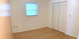 Great 4BR/2BA South Tampa home with Large fenced yard. Gallery 8