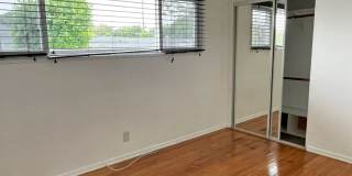 Peaceful 3bd home in Westchester Gallery 10
