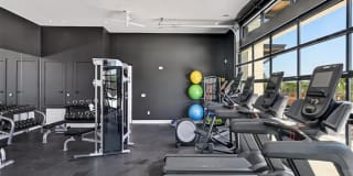 The Saint Mary The Saint Mary Gallery 36