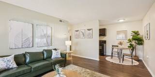 Sarasota South Gallery 3