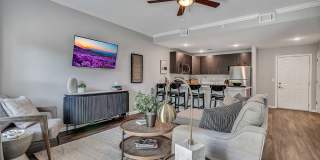 Kinsley Forest Gallery 5