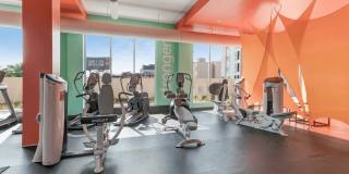 Blue and Lime Gallery 15