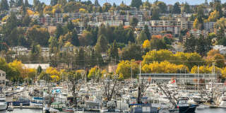 Arrive Magnolia Gallery 75