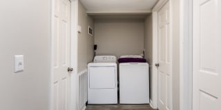 Willow Apartments Gallery 8