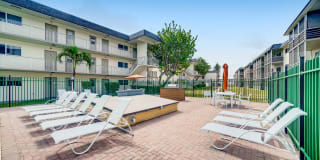 Spectra Palms Gallery 3